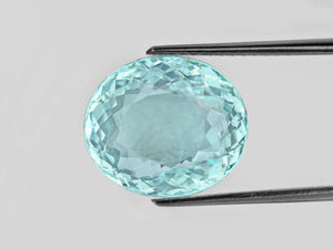 8802231-oval-lively-neon-greenish-blue-gia-mozambique-natural-paraiba-tourmaline-14.05-ct
