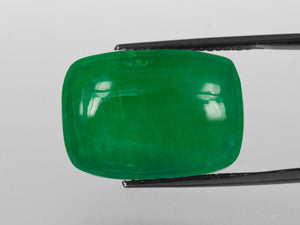 8802824-cabochon-rich-intense-green-grs-brazil-natural-emerald-47.73-ct