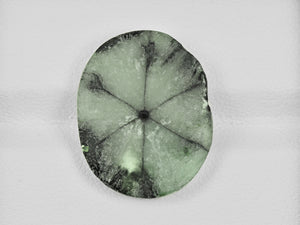 8802117-cabochon-light-green-with-black-spokes-igi-colombia-natural-trapiche-emerald-10.35-ct
