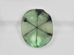 8802118-cabochon-light-green-with-black-spokes-igi-colombia-natural-trapiche-emerald-10.24-ct