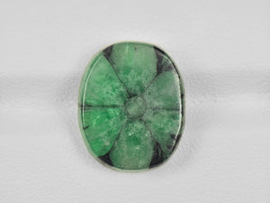 8802125-cabochon-green-with-black-spokes-igi-colombia-natural-trapiche-emerald-9.55-ct
