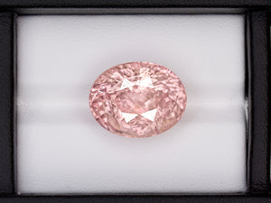 8802237-oval-lustrous-orangy-pink-grs-sri-lanka-natural-padparadscha-20.75-ct