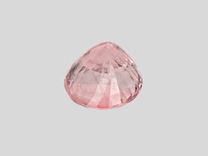 8802237-oval-lustrous-orangy-pink-grs-sri-lanka-natural-padparadscha-20.75-ct