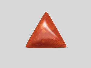 8802735-cabochon-reddish-orange-igi-italy-natural-coral-3.41-ct