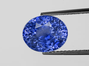 8802833-oval-fiery-intense-blue-gia-kashmir-natural-blue-sapphire-10.94-ct