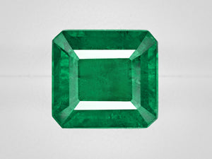 8802923-octagonal-rich-intense-green-igi-zambia-natural-emerald-8.30-ct