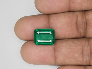 8802924-octagonal-deep-green-igi-zambia-natural-emerald-9.49-ct