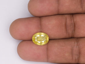 8802928-oval-medium-yellow-sri-lanka-natural-yellow-sapphire-7.05-ct