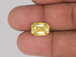 8802929-octagonal-lustrous-yellow-sri-lanka-natural-yellow-sapphire-8.15-ct