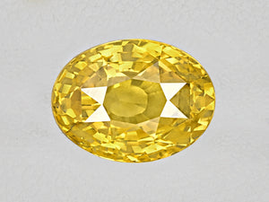 8802936-oval-fiery-intense-yellow-sri-lanka-natural-yellow-sapphire-6.84-ct