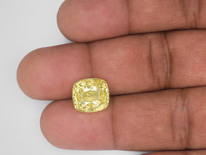 8802943-cushion-medium-yellow-sri-lanka-natural-yellow-sapphire-10.04-ct