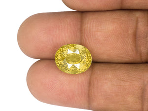 8802944-oval-fiery-intense-yellow-sri-lanka-natural-yellow-sapphire-11.12-ct