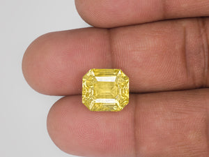 8802948-octagonal-lustrous-intense-yellow-sri-lanka-natural-yellow-sapphire-12.16-ct