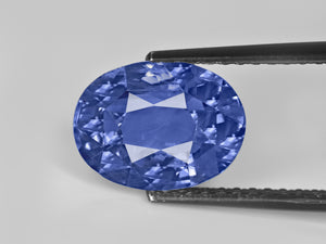 8803026-oval-velvety-intense-blue-gia-sri-lanka-natural-blue-sapphire-5.69-ct