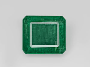 8803117-octagonal-intense-green-gii-zambia-natural-emerald-20.00-ct